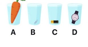 Level 8 - Which glass contains the most water?
